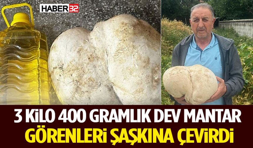 3 Kilo 400 Gramlık Dev Mantar Görenleri Şaşkına Çevirdi