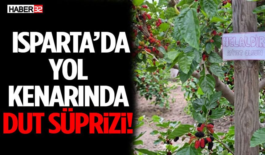 Isparta’da Yol Kenarında Dut Süprizi!