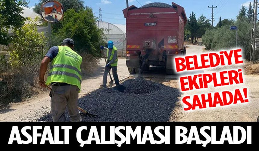 Belediye Ekipleri Sahada! Asfalt Çalışması Başladı