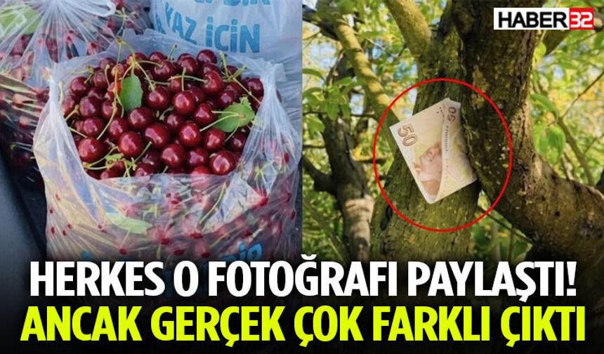 Herkes O Fotoğrafı Paylaştı! Ancak Gerçek Çok Farklı Çıktı