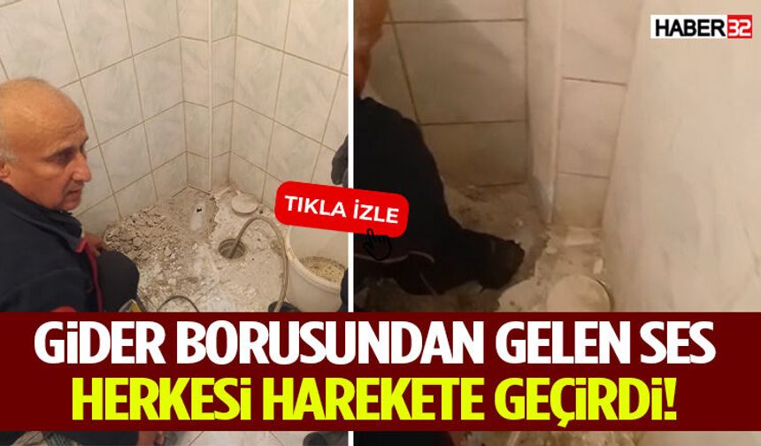 Gider Borusundan Gelen Ses Herkesi Harekete Geçirdi!