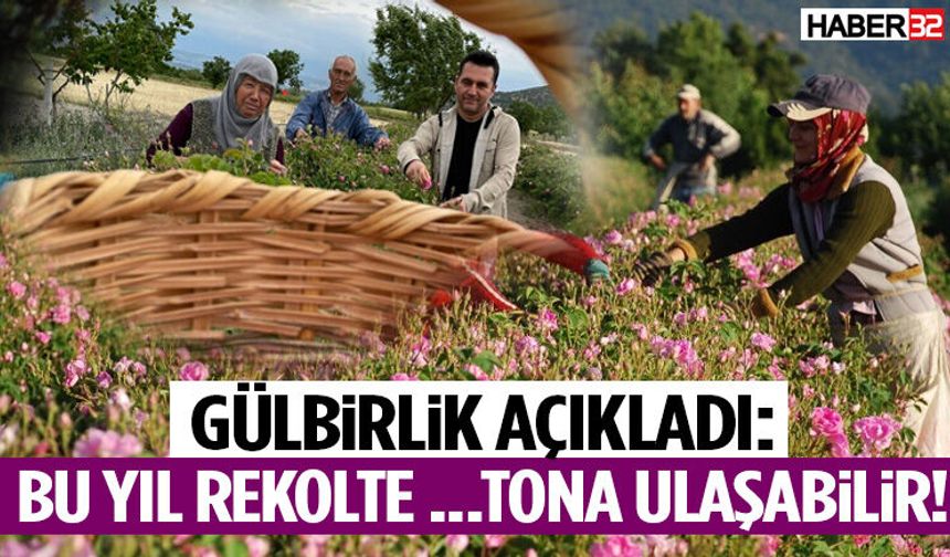 Gülbirlik Açıkladı: Bu Yıl Rekolte …… Tona Ulaşabilir!
