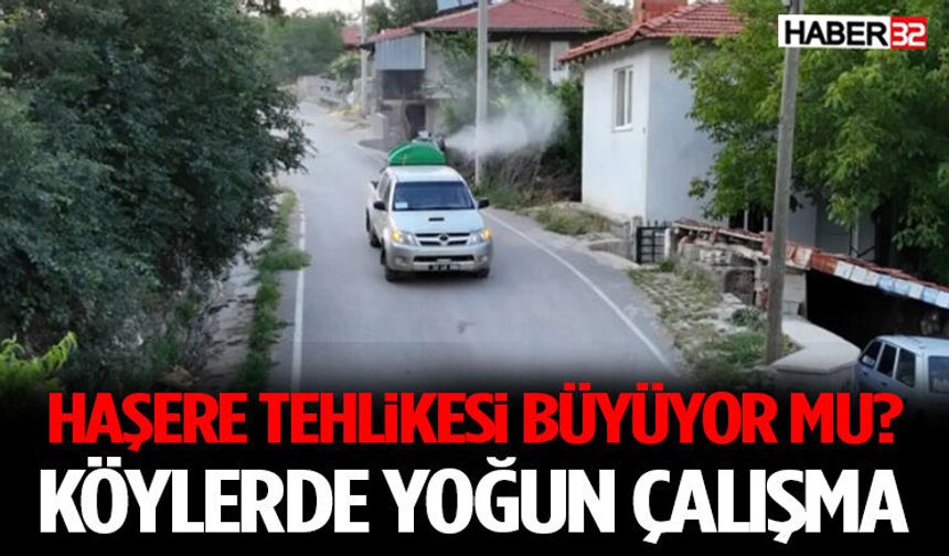 Haşere Tehlikesi Büyüyor mu? Köylerde Yoğun Çalışma