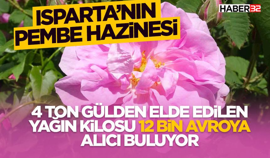 Kilosu 12 bin avroya alıcı buluyor