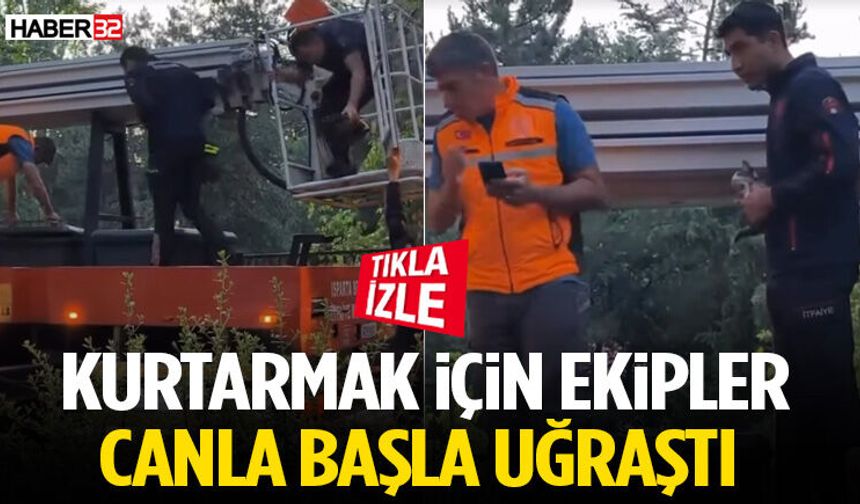Kurtarmak İçin Ekipler Canla Başla Uğraştı