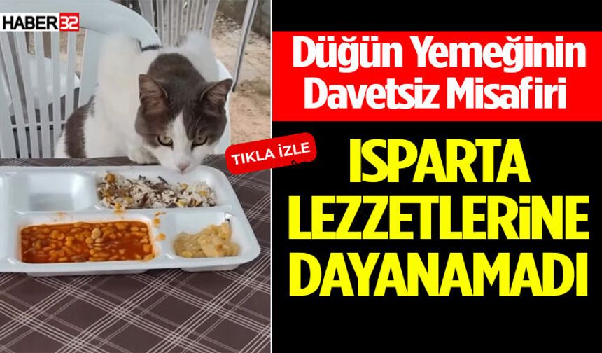 Isparta Lezzetlerine Dayanamadı!