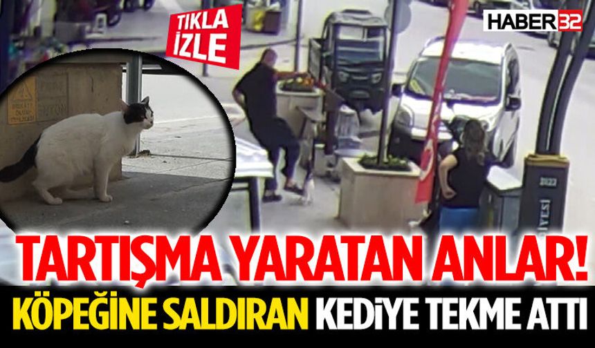 Tartışma Yaratan Anlar! Köpeğine Saldıran Kediye Tekme Attı
