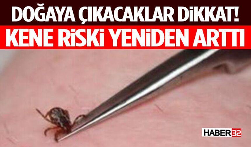 Doğaya Çıkacaklar Dikkat! Kene Riski Yeniden Arttı