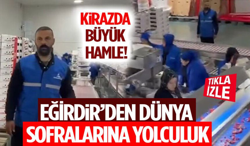 Kirazda Büyük Hamle! Eğirdir’den Dünya Sofralarına Yolculuk