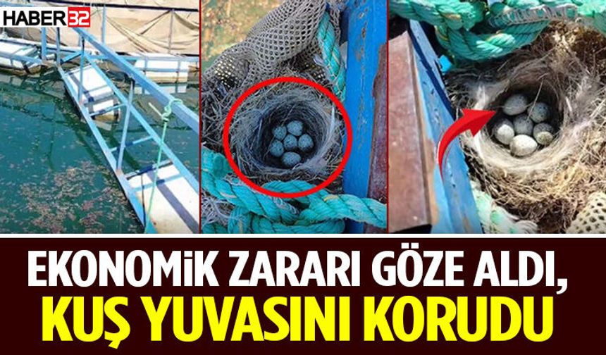 Ekonomik Zararı Göze Aldı, Kuş Yuvasını Korudu