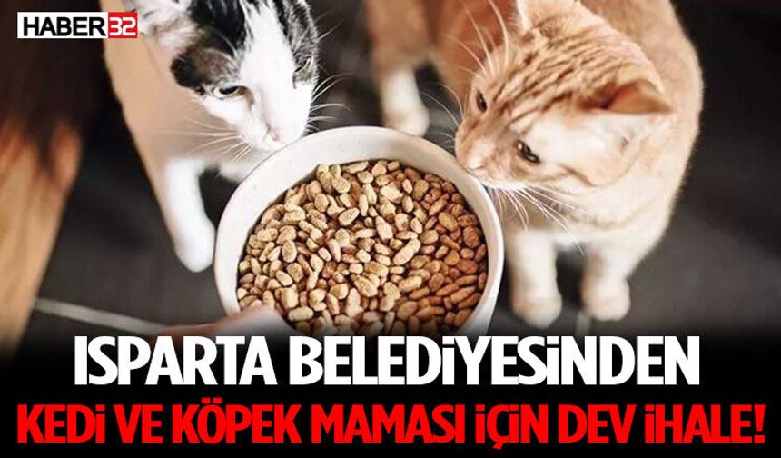 Isparta Belediyesinden Kedi Ve Köpek Maması İçin Dev İhale!