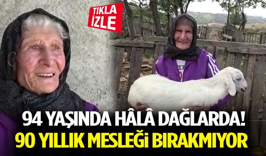 94 Yaşında Hâlâ Dağlarda! 90 Yıllık Mesleği Bırakmıyor