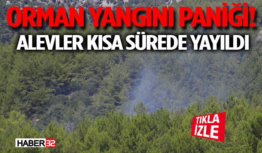 Orman Yangını Paniği! Alevler Kısa Sürede Yayıldı