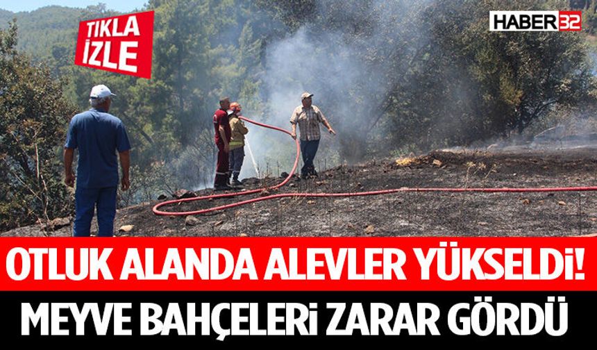 Otluk Alanda Alevler Yükseldi! Meyve Bahçeleri Zarar Gördü