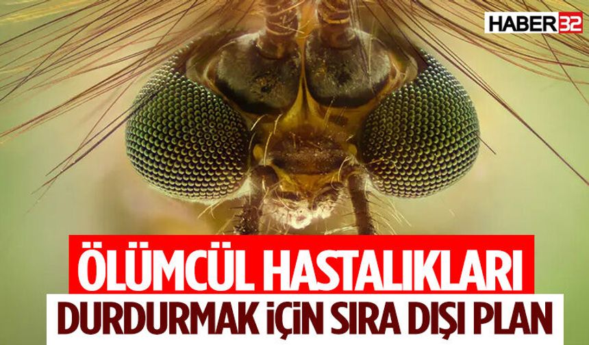 Ölümcül Hastalıkları Durdurmak İçin Sıra Dışı Plan