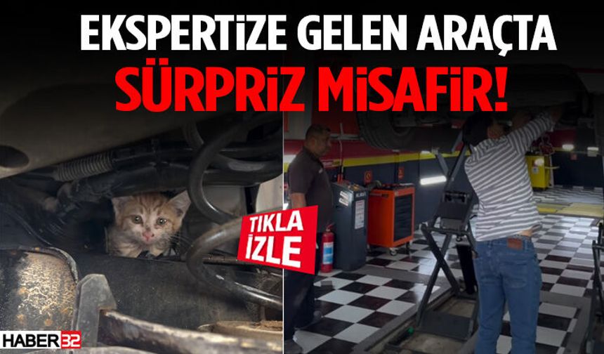 Ekspertize Gelen Araçta Sürpriz Misafir!