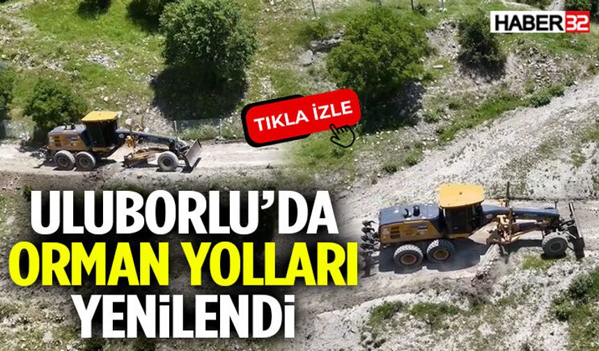 Uluborlu’da Orman Yolları Yenilendi