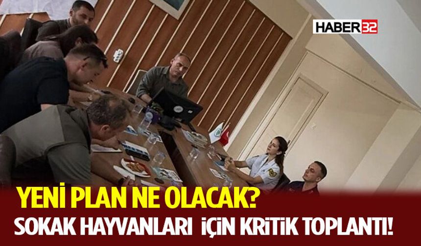 Sokak Hayvanları İçin Kritik Toplantı! Yeni Plan Ne Olacak?