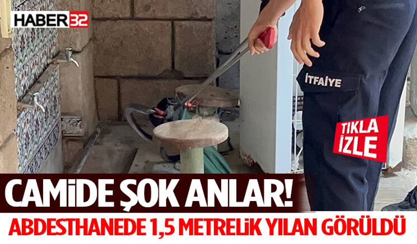 Camide Şok Anlar! Abdesthanede 1,5 Metrelik Yılan Görüldü