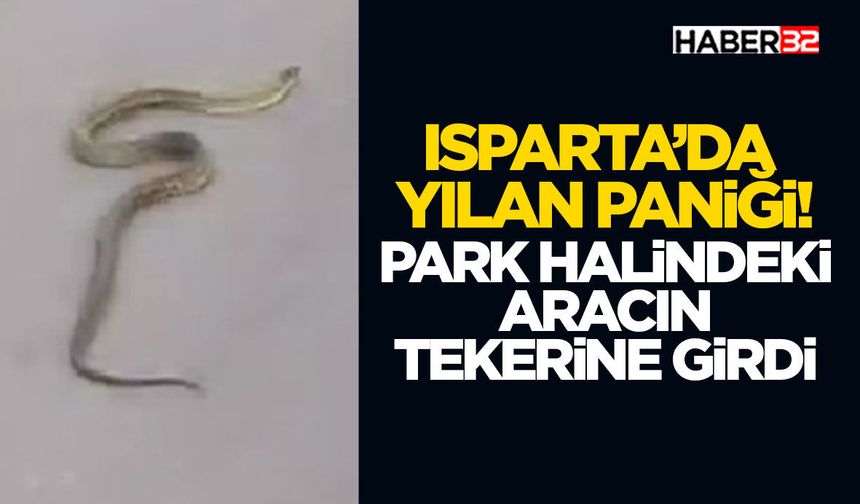 Park Halindeki Aracın Tekerine Girdi