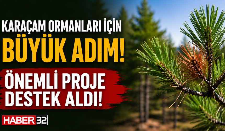 ISUBÜ’lü Akademisyenin ‘Karaçam Ormanlarını Koruyacak Proje’sine TÜBİTAK Desteği!