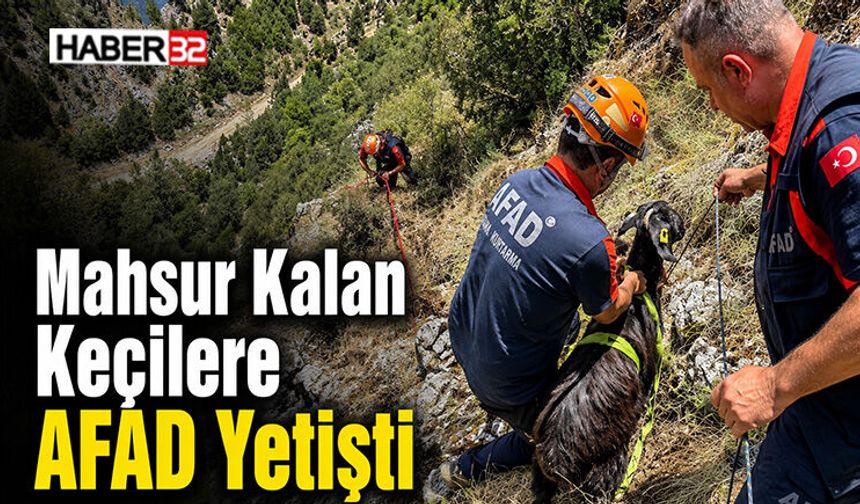 Mahsur Kalan Keçilere AFAD Yetişti