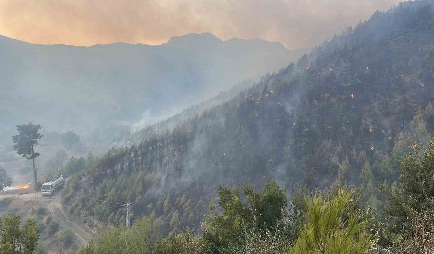 Alanya'daki yangına 95 araç ve 320 personelle müdehale ediliyor