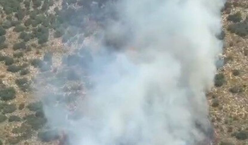 Demre'deki orman yangını kontrol altına alındı
