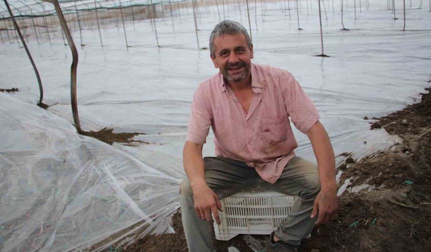 Seralarda yeni sezon üretim için solarizasyon dönemi başladı