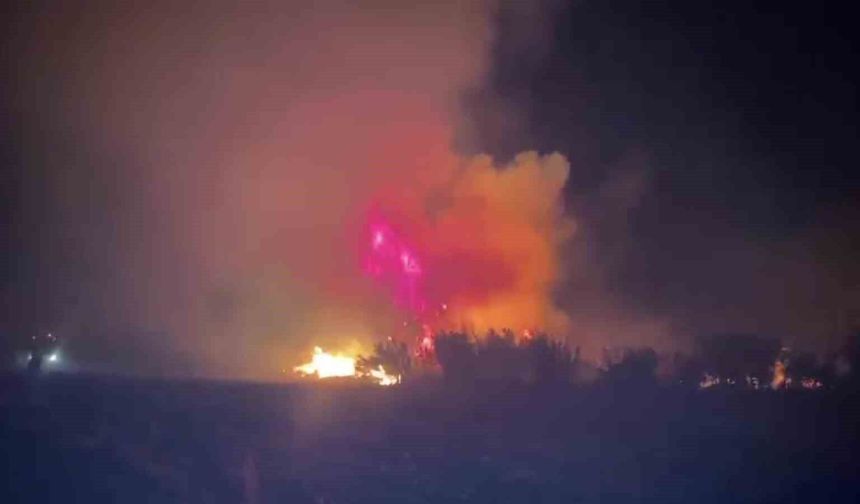 Serik'te çıkan orman yangınına ilk müdahaleyi vatandaşlar yaptı