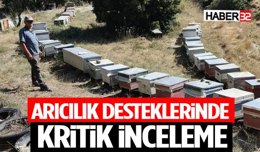 Arıcılık Desteklerinde Kritik İnceleme