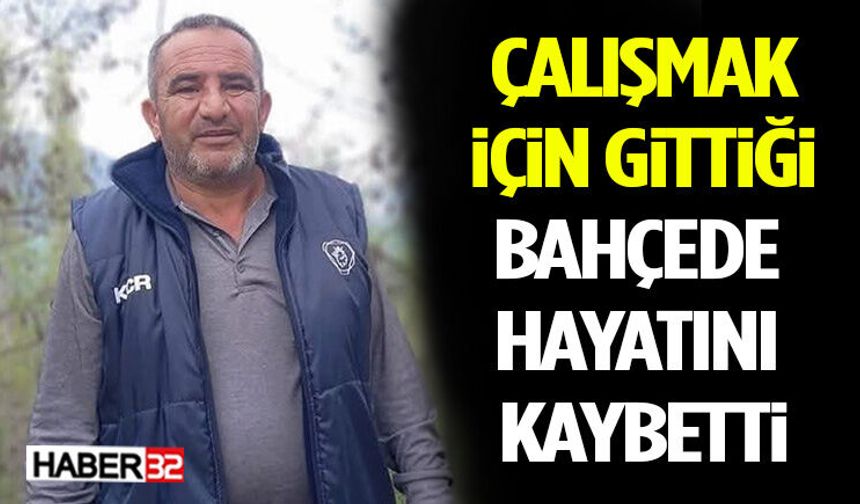 Çalışmak İçin Gittiği Bahçede Hayatını Kaybetti