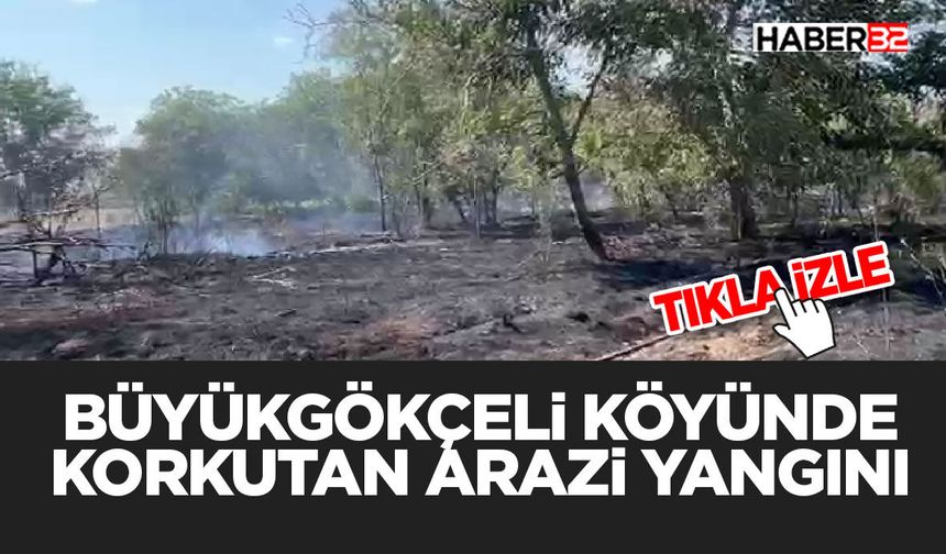 Büyük Gökçeli Köyünde Korkutan Arazi Yangını
