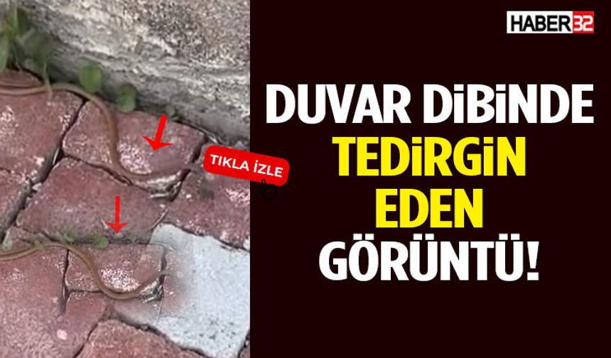 Zincir Marketin Yanında Tedirgin Eden Görüntü