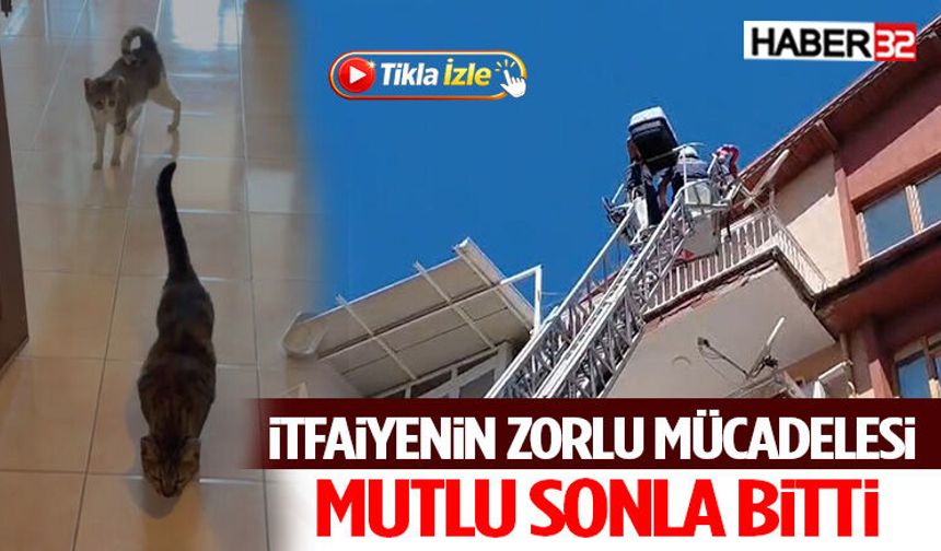 İtfaiyenin Zorlu Mücadelesi Mutlu Sonla Bitti