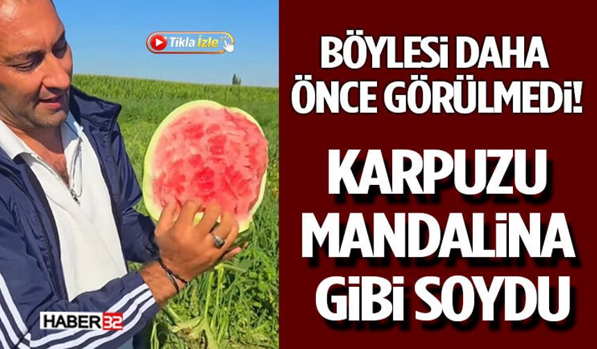 Böylesi Daha Önce Görülmedi! Karpuzu Mandalina Gibi Soydu