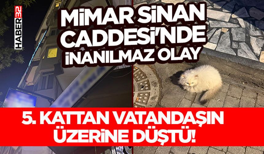 5. Kattan Vatandaşın Üzerine Düştü!