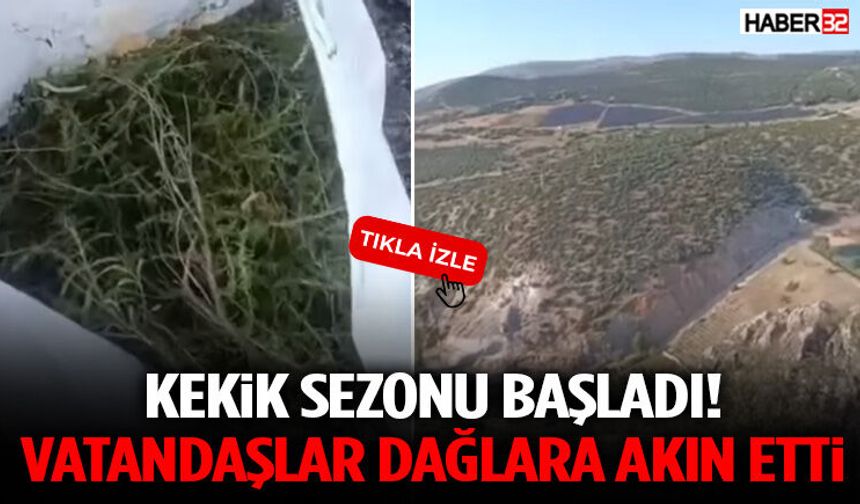 Kekik Sezonu Başladı! Vatandaşlar Dağlara Akın Etti