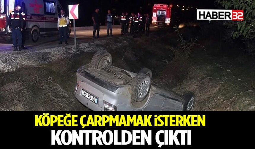 Köpeğe Çarpmamak İsterken Kontrolden Çıktı