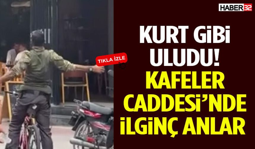 Kurt Gibi Uludu! Kafeler Caddesi’nde İlginç Anlar