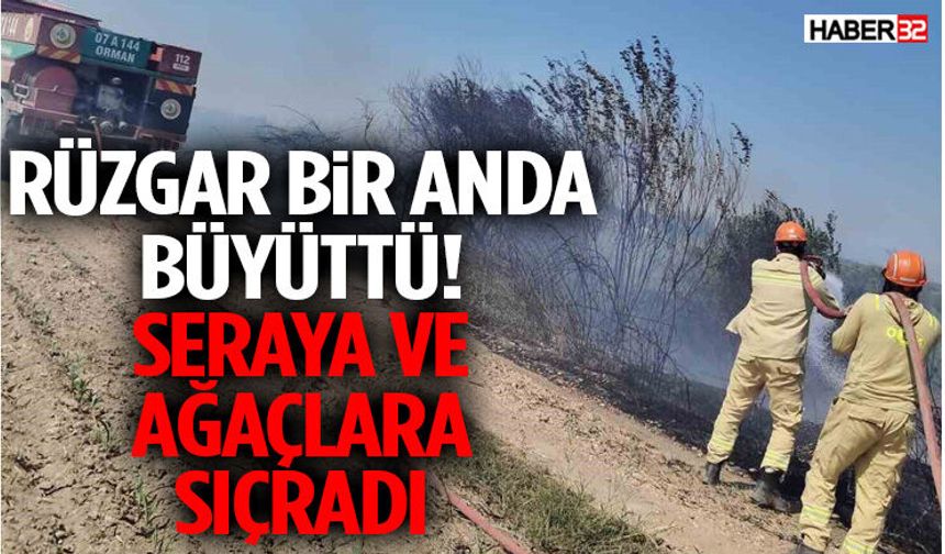 Rüzgar Bir Anda Büyüttü! Seraya Ve Ağaçlara Sıçradı