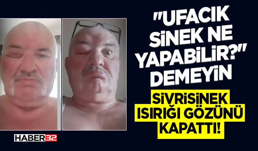 "Ufacık Sinek Ne Yapabilir?" Demeyin