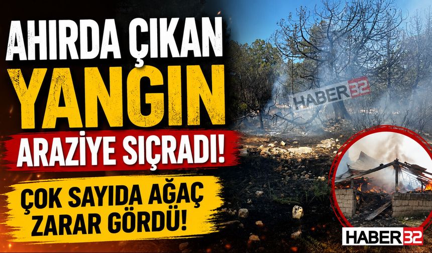 Gelendost’taki Ahır Yangını Araziye Sıçradı!
