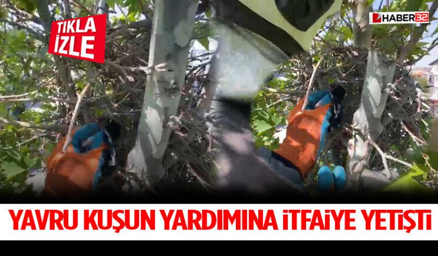 Yavru Kuşun Yardımına İtfaiye Yetişti