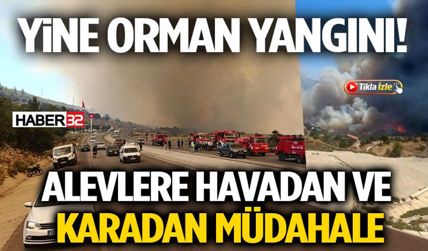 Orman Yangınına Uçak ve Helikopterlerle Müdahale