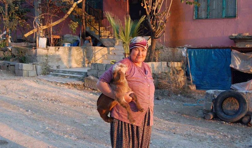 Çifte cinayet 7 yıl sonra çözüldü: Oğulları devlete teşekkür etti