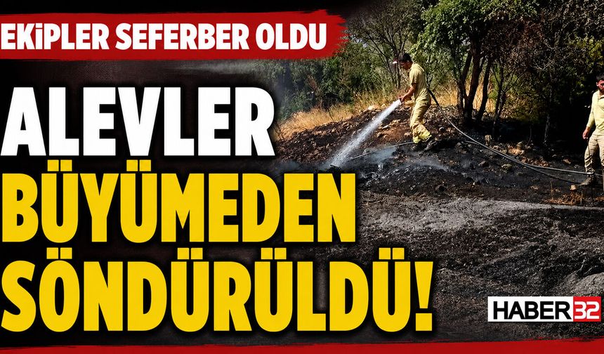 Sütçüler'de Korkutan Yangın!