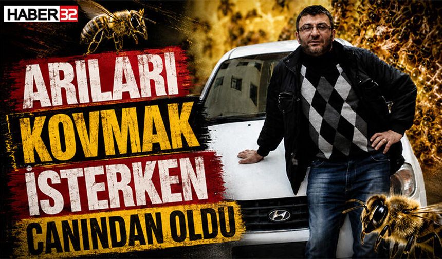 Arıları Kovmak İsterken Canından Oldu