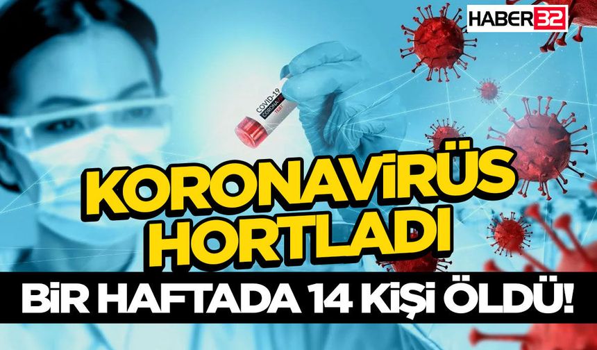 Koronavirüs Hortladı: Bir Haftada 14 Kişi Öldü!