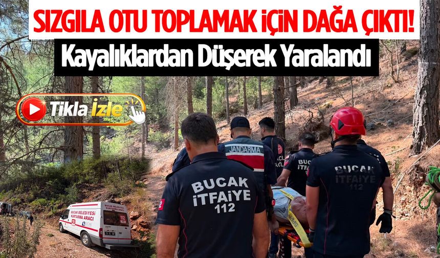 Sızgıla Otu Toplamak İçin Dağa Çıktı! Kayalıklardan Düşerek Yaralandı